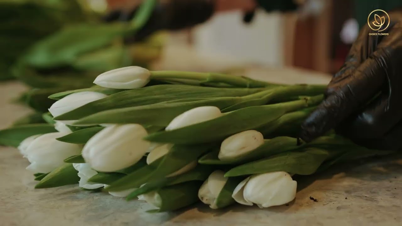 choice flowers social media videos